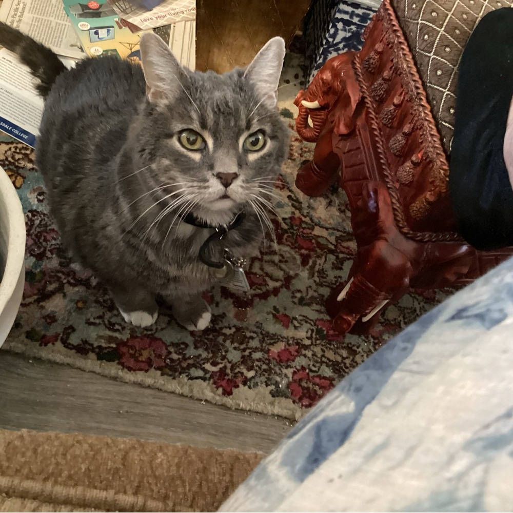 Meet your Posher, Judith